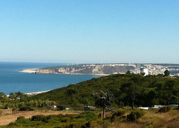 Avo Bolachas 10 Nazare